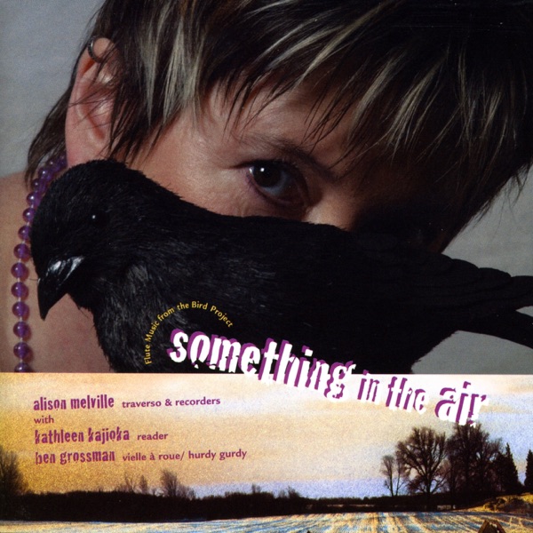 Something in the Air: Flute music from the Bird Project album cover