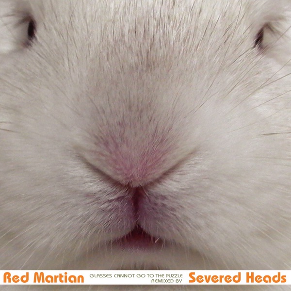 Glasses Cannot Go to the Puzzle album cover