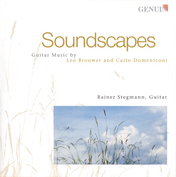 Guitar Recital: Stegmann, Rainer - Brouwer, L. - Domeniconi, C. (Soundscapes) album cover