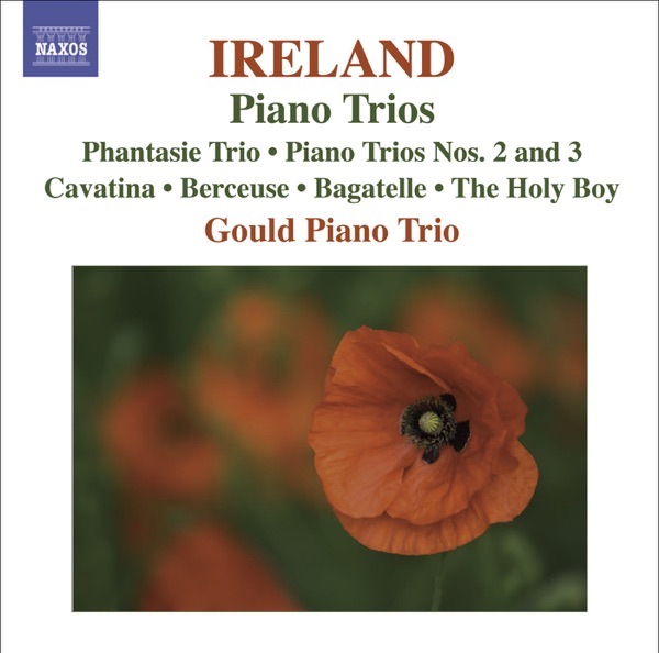 Ireland: Piano Trios, Cavatina, Berceuse, Bagatelle & The Holy Boy album cover
