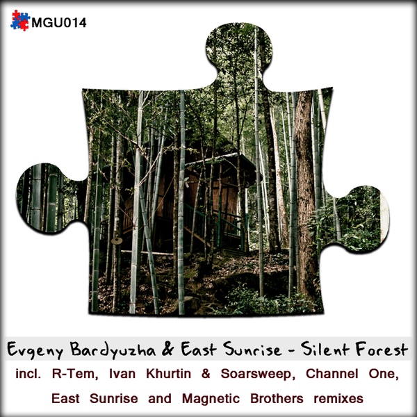 Silent Forest album cover