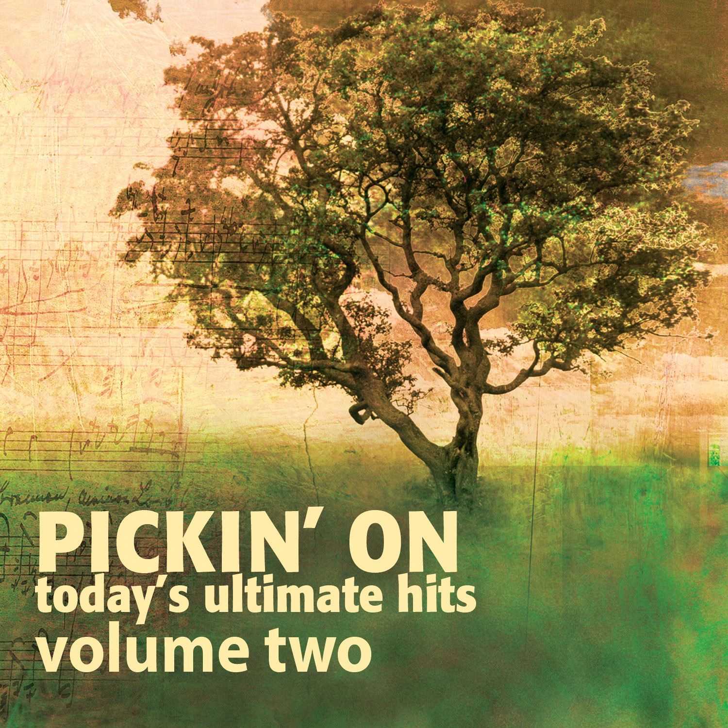 Pickin' On Today's Ultimate Hits, Vol. 2 album cover