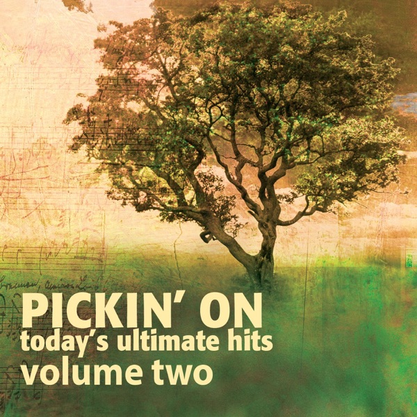 Pickin' On Today's Ultimate Hits, Vol. 2 album cover