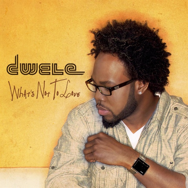 What's Not to Love - Single album cover