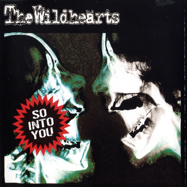 So Into You album cover