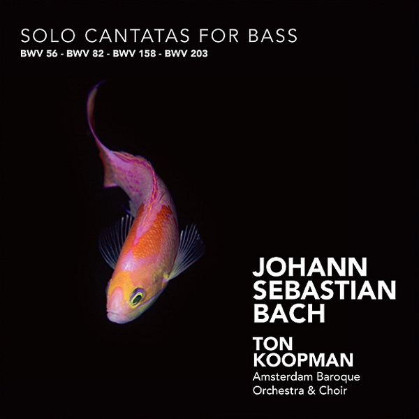 Bach: Solo Cantatas for Bass album cover
