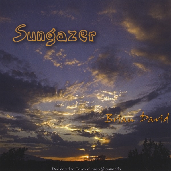 Sungazer album cover