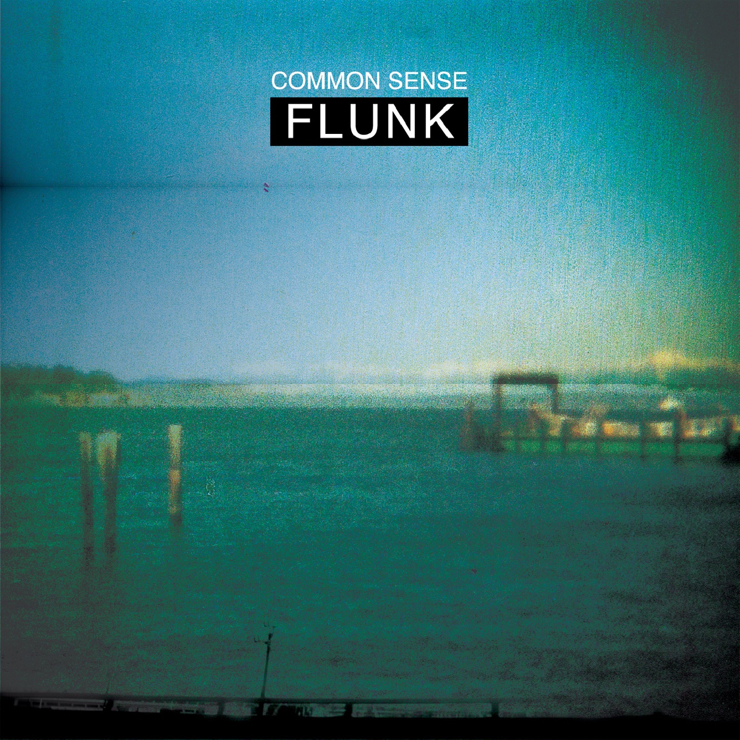 Common Sense - Single album cover
