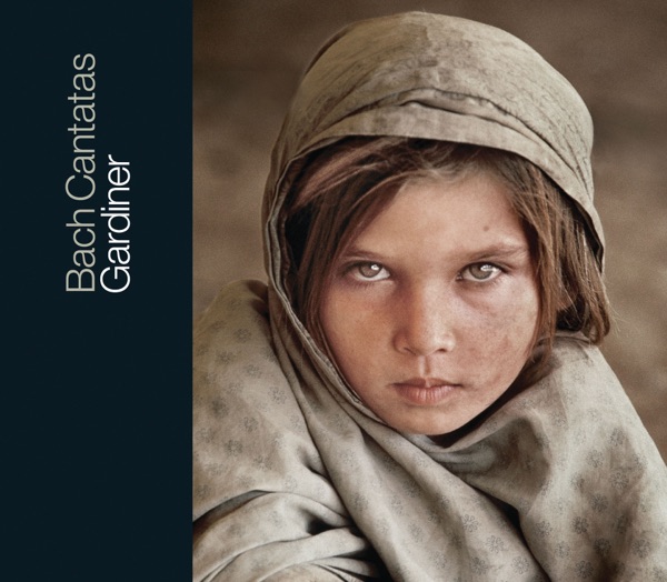 Bach: Cantatas, Vol. 27 – BWVV 184, 175, 194, 176, 165 & 129 (Live) album cover