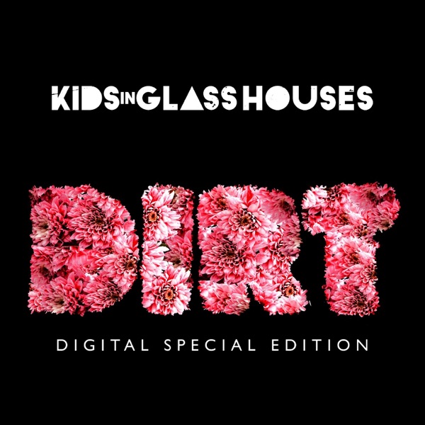 Dirt (Special Edition) album cover