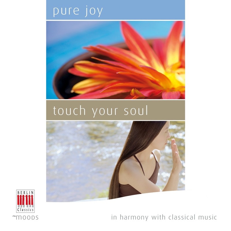 Pure Joy - Touch your Soul (In Harmony with Classical Music) album cover