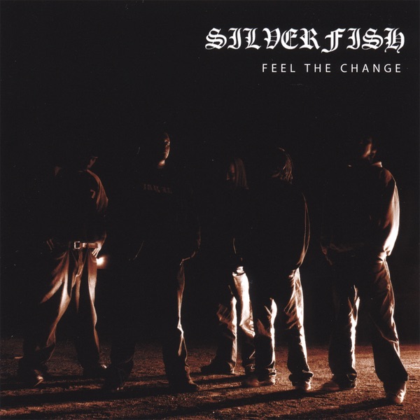 Feel the Change album cover