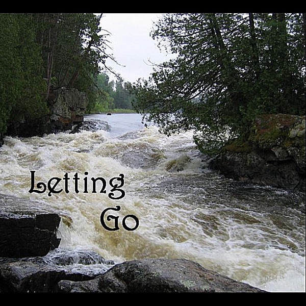 Letting Go - Single album cover