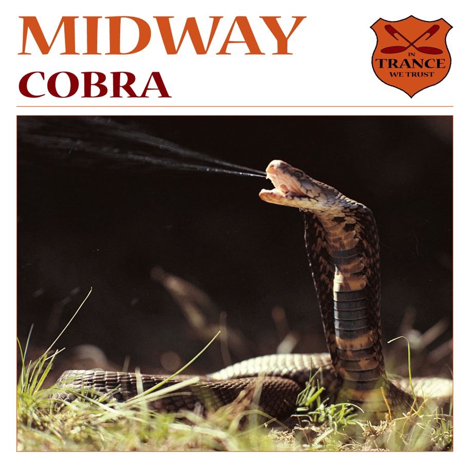 Cobra - EP album cover