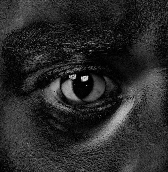 Evolve Or Be Extinct album cover