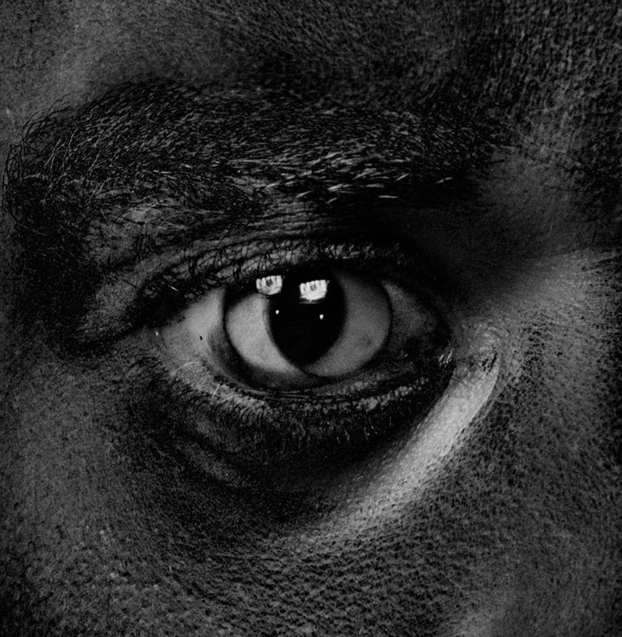 Evolve Or Be Extinct album cover