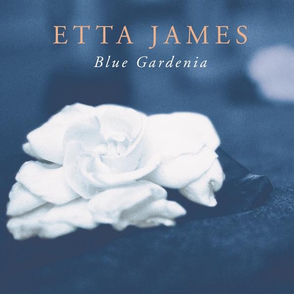Blue Gardenia album cover