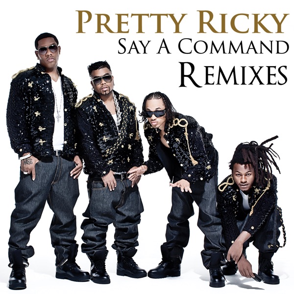 Say a Command (Remixes) - Single album cover