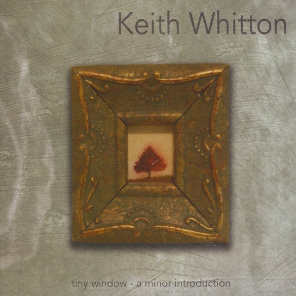 Tiny Window...A Minor Introduction album cover