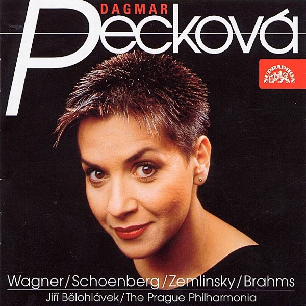 Song Recital /Wagner-Schoenberg-Zemlinsky-Brahms/ album cover