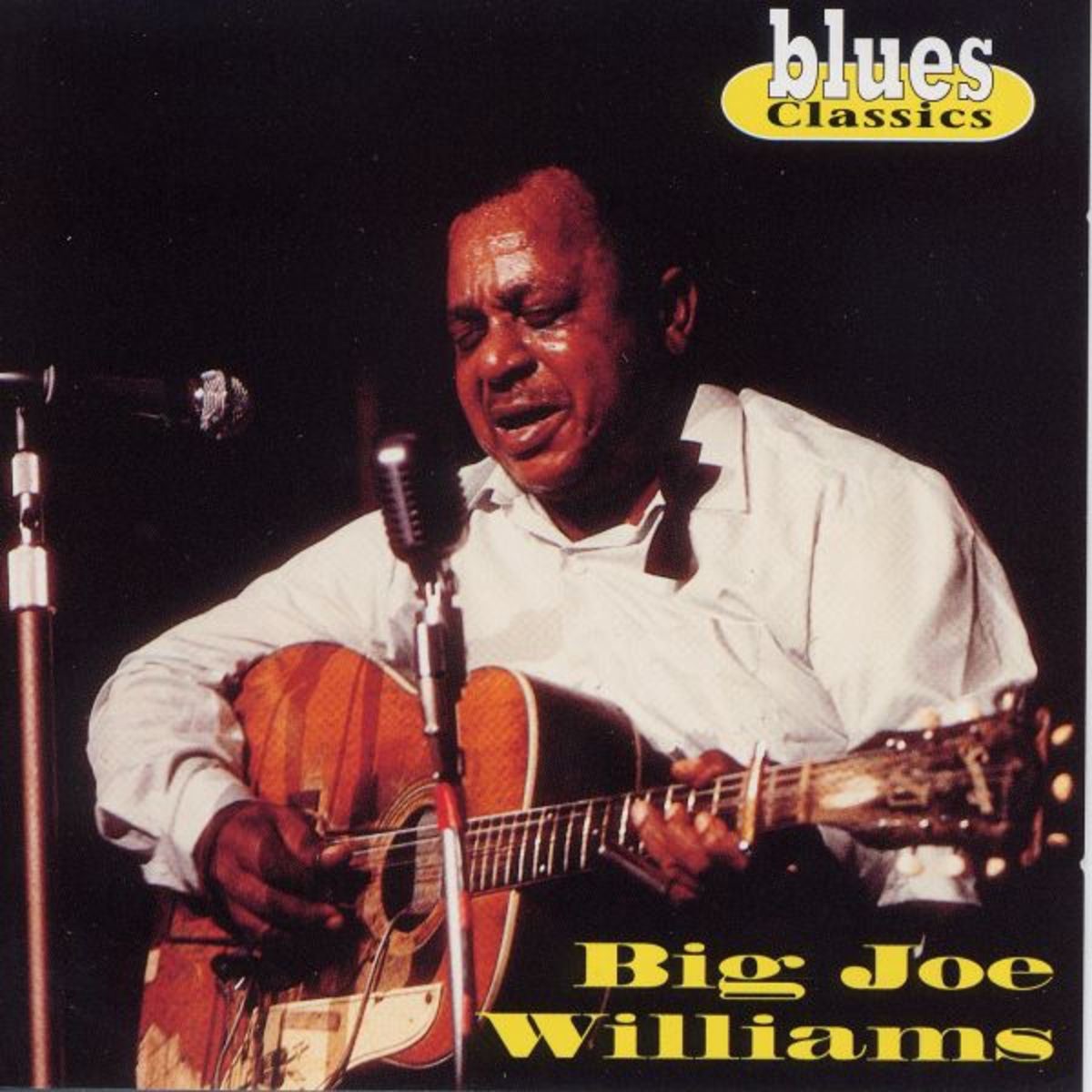 Big Joe Williams album cover