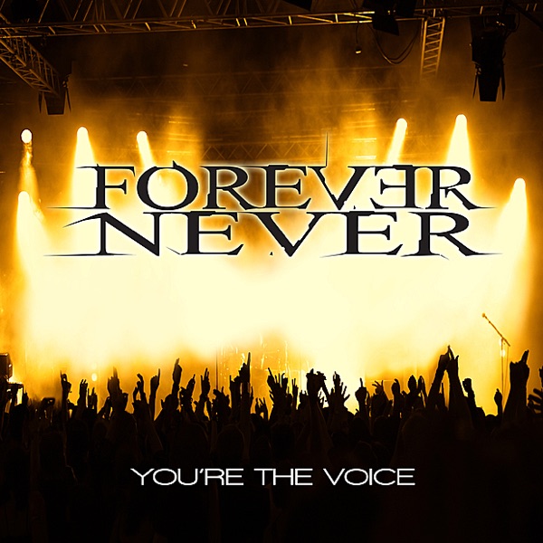 You're the Voice - Single album cover