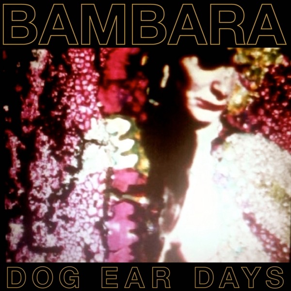 Dog Ear Days album cover