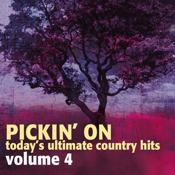Pickin' On Today's Ultimate Country Hits, Vol. 4 album cover