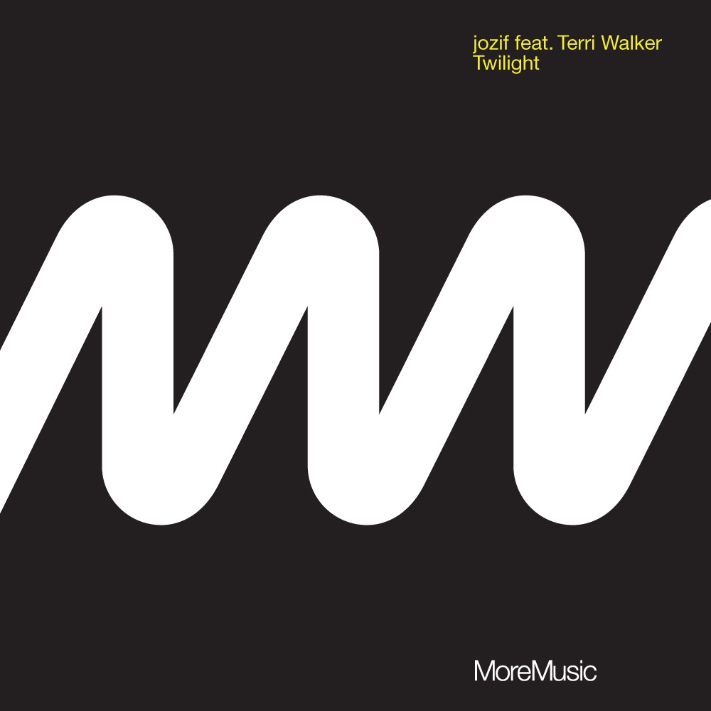 Twilight (feat. Terri Walker)- Single album cover