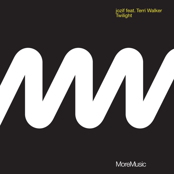Twilight (feat. Terri Walker)- Single album cover