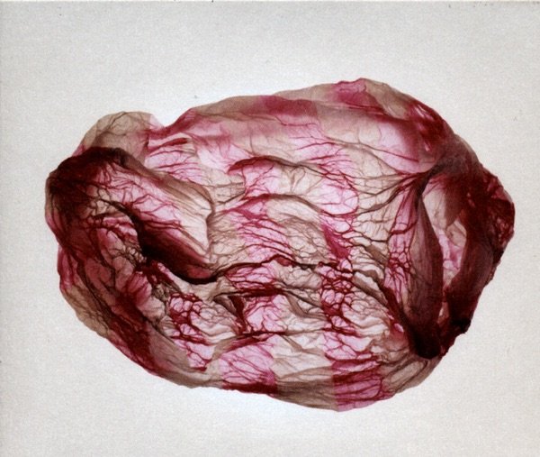 Distant Sounds of Summer album cover