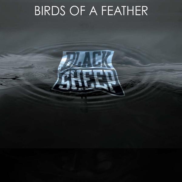 Birds of a Feather (feat. Q-Tip, Trugoy the Dove & Mike G) - Single album cover