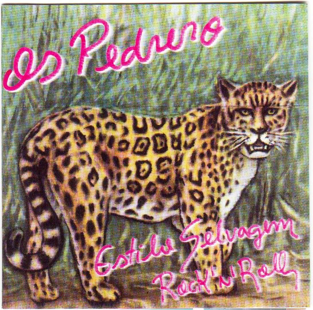 Estilo Selvagem Rock n Roll album cover