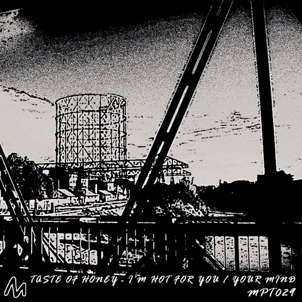 I'M Hot For You - Your Mind - Single album cover