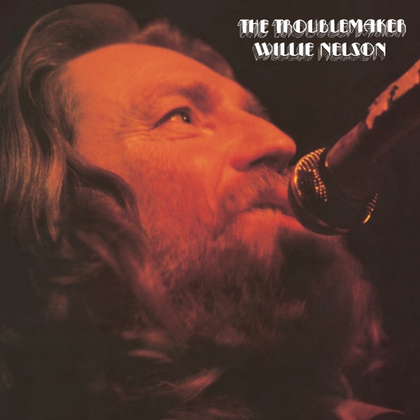 The Troublemaker album cover