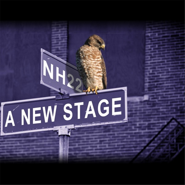 Vindication - Single album cover