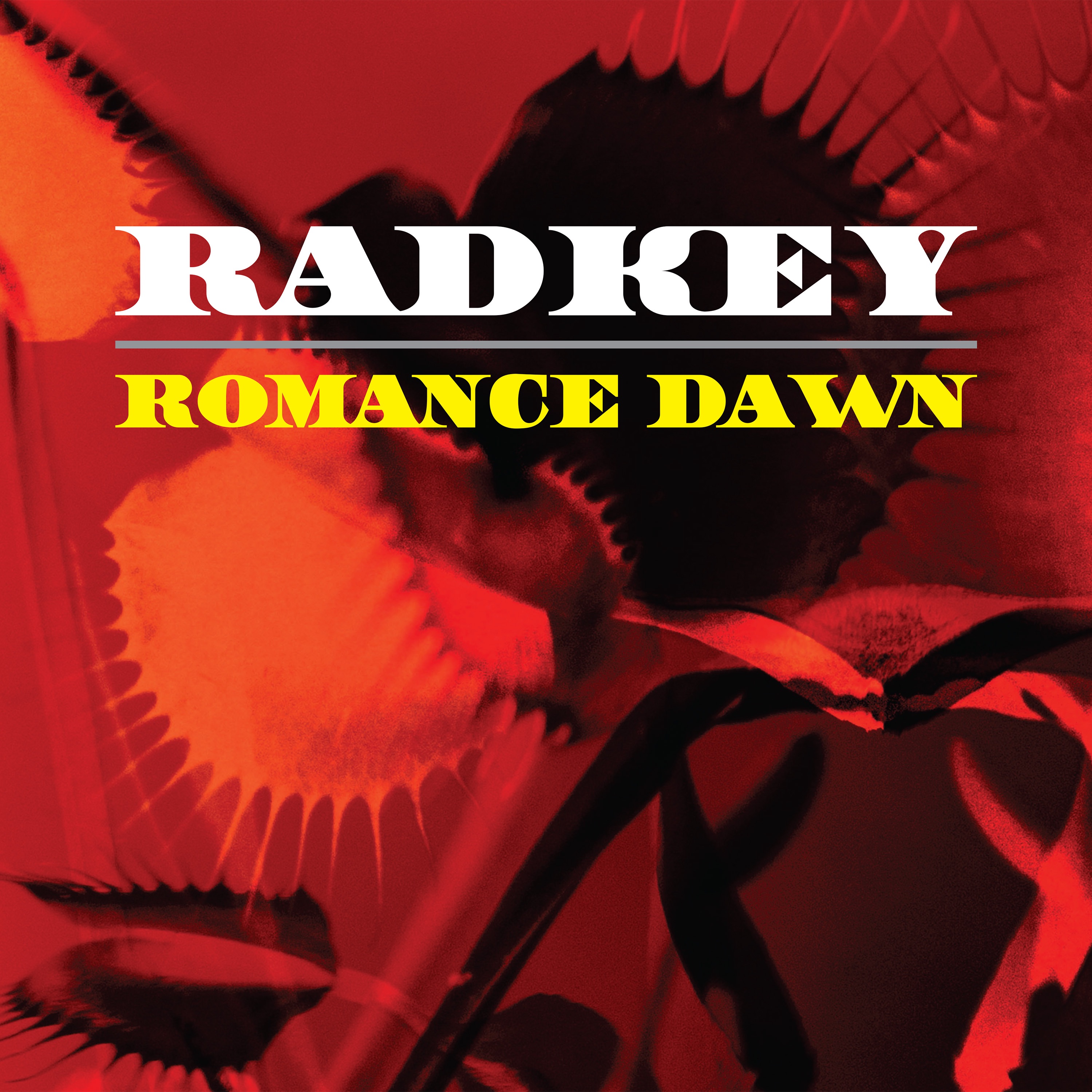 Romance Dawn - Single album cover