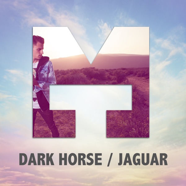 Dark Horse / Jaguar (feat. Dumbfounded) - Single album cover