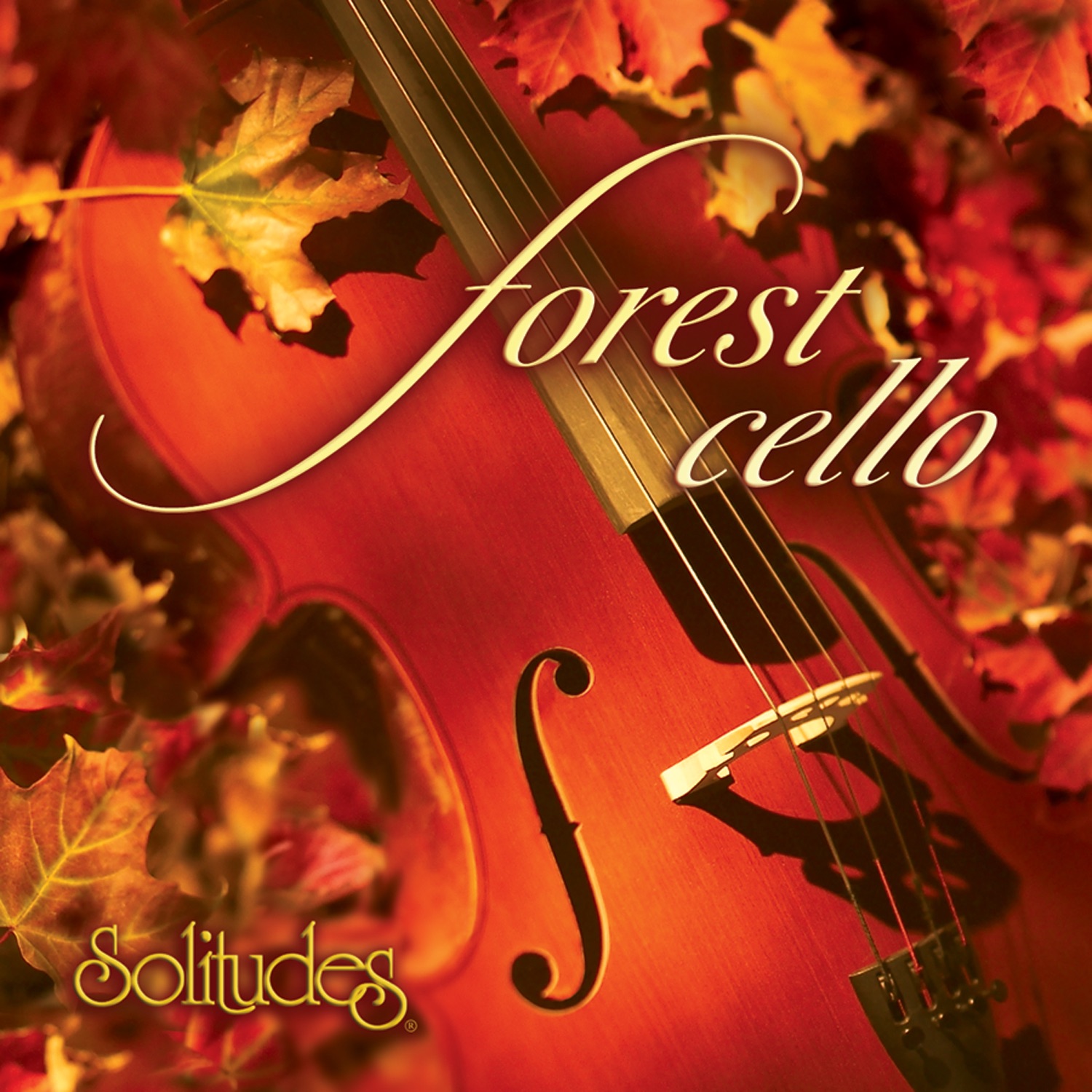 Forest Cello album cover