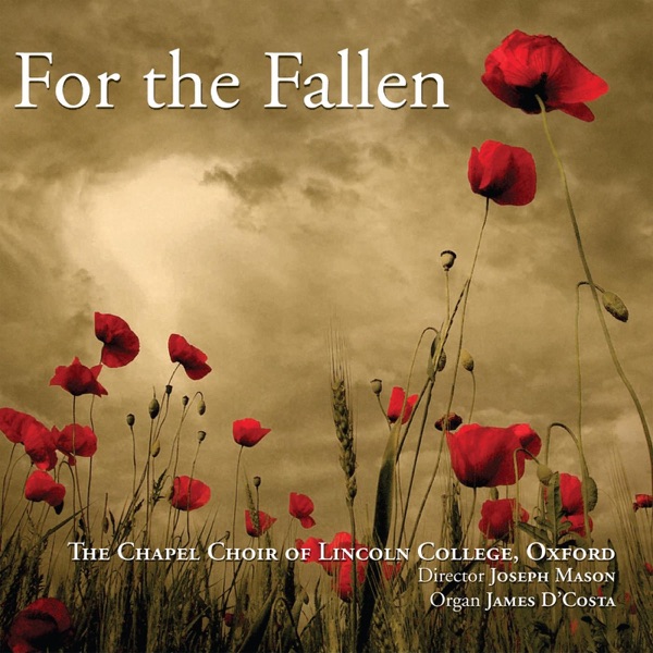 For the Fallen album cover