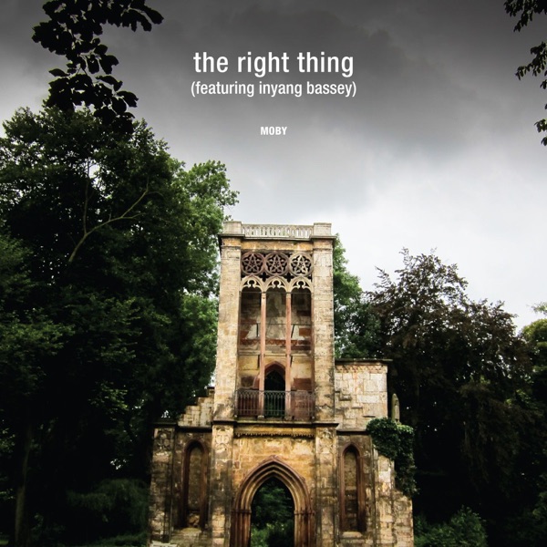 The Right Thing (Remixes) album cover