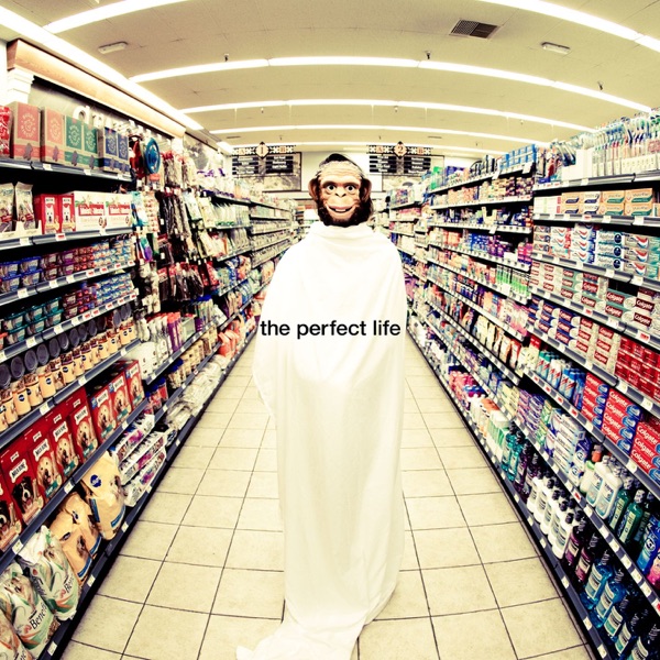 The Perfect Life (feat. Wayne Coyne) - EP album cover