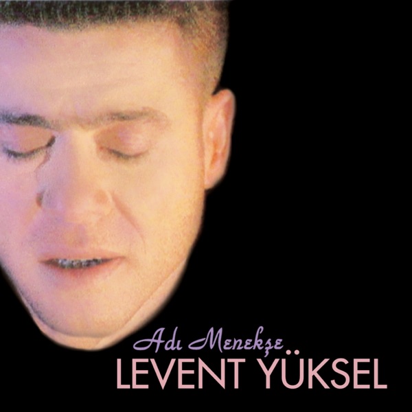 Adı Menekşe album cover