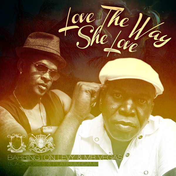Love the Way She Love (feat. Mr. Vegas) - Single album cover