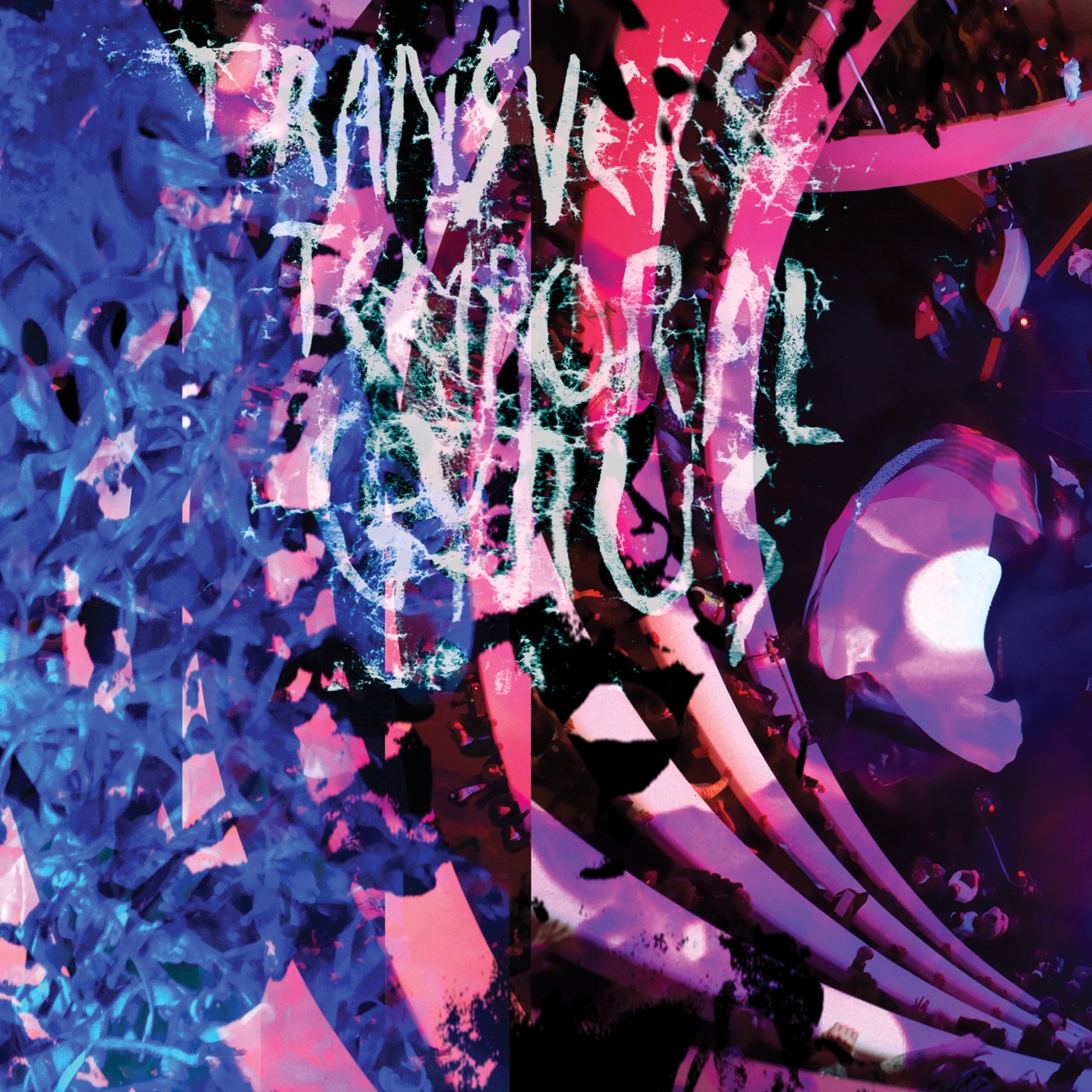 Transverse Temporal Gyrus - EP album cover