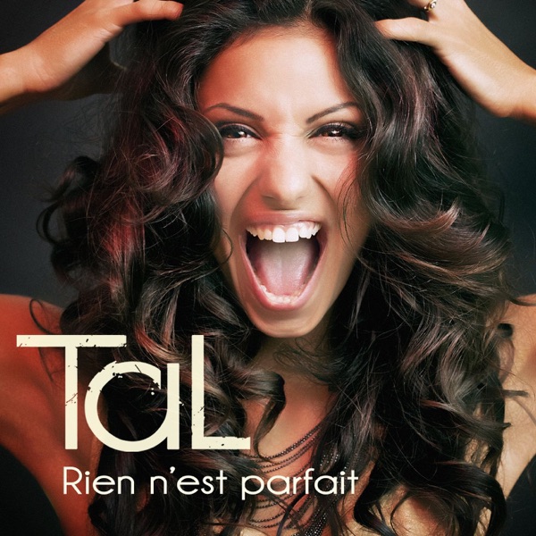 Rien N'Est Parfait - Single album cover