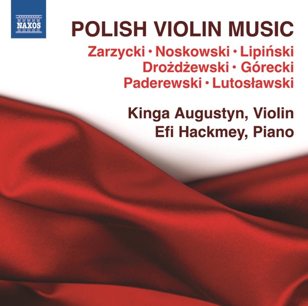 Polish Violin Music album cover