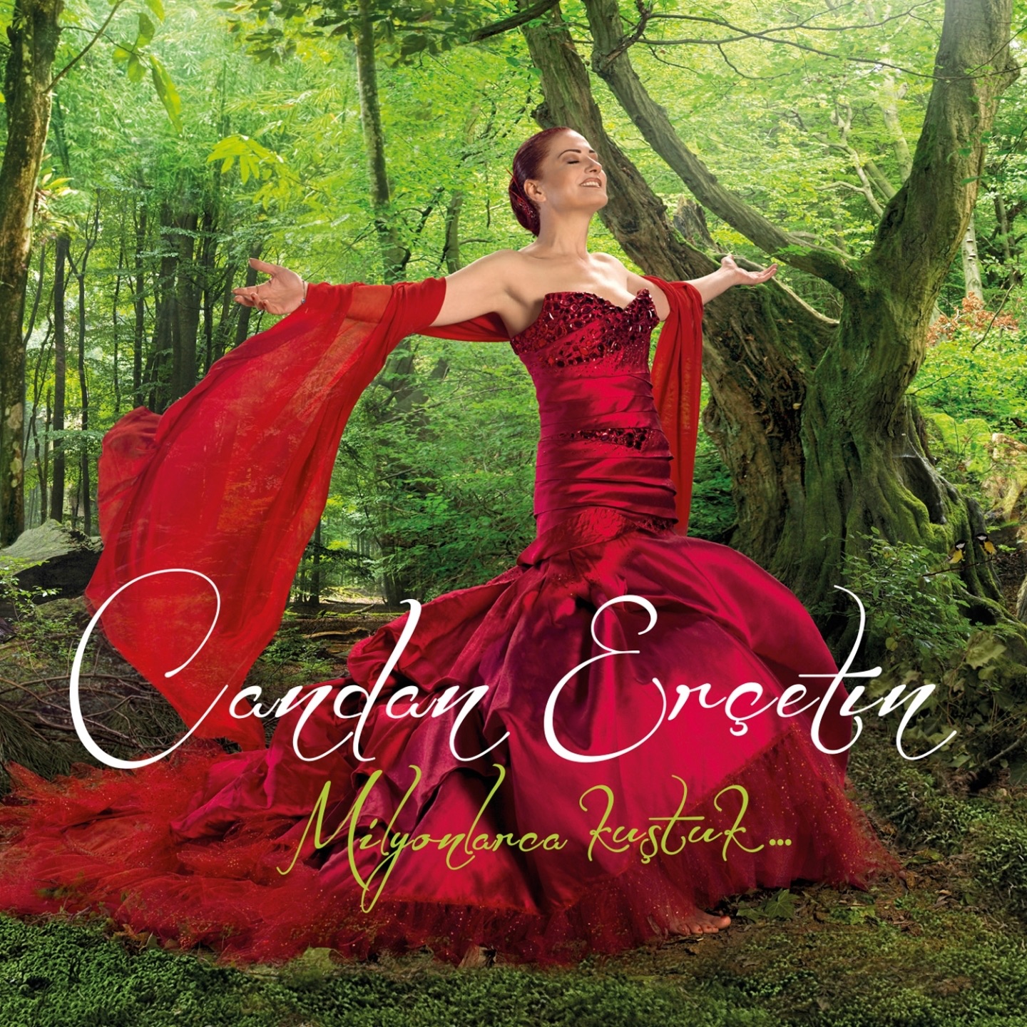 Milyonlarca Kuştuk... album cover