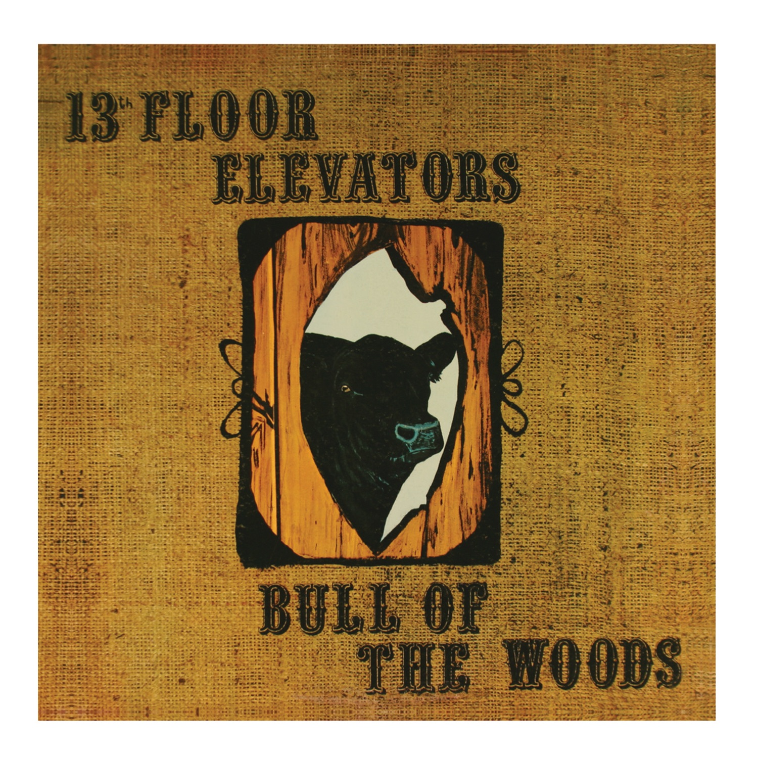 Bull of the Woods album cover
