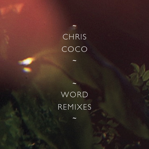 Word (Remixes) - EP album cover